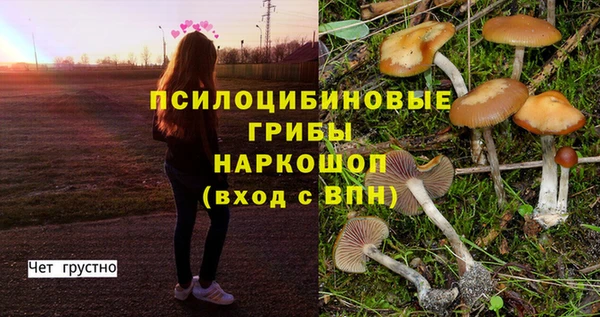 метадон Надым