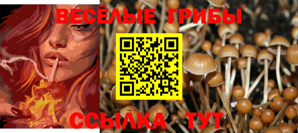 Галлюциногенные грибы MAGIC MUSHROOMS Ковров
