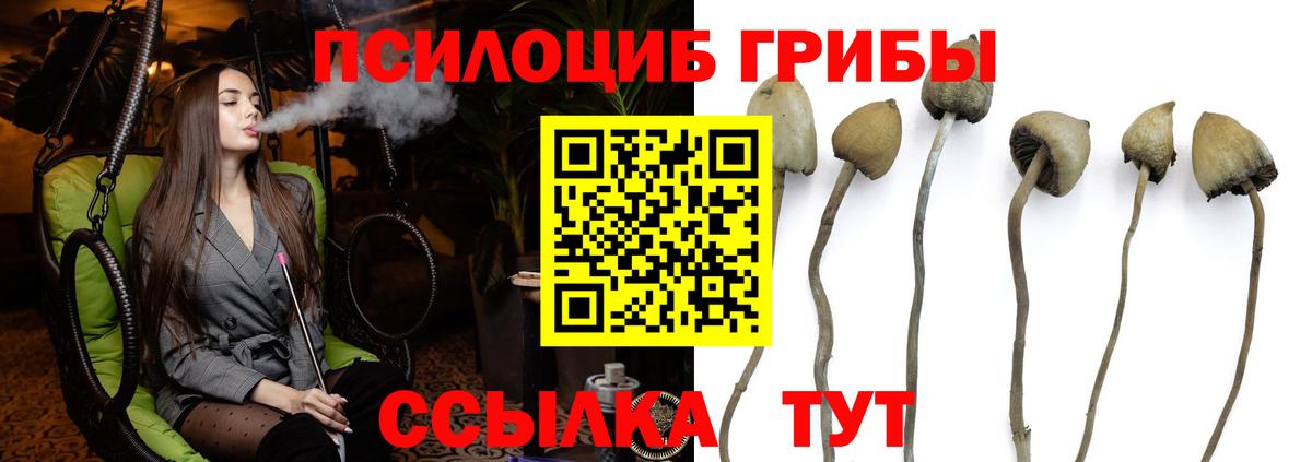 Ковров  Галлюциногенные грибы MAGIC MUSHROOMS  Вход с VPN 